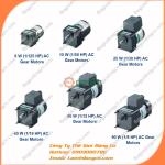 Động cơ giảm tốc phanh điện từ Oriental Motor 5RK90GE-SW2ML + 5GE100KF công suất 60W tỉ số truyền 1/100 Ba Pha 200/220 VAC