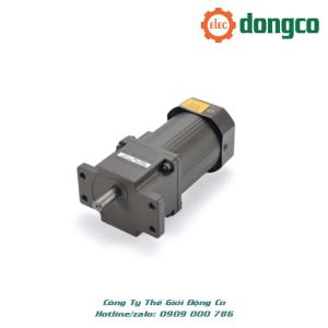 MÔ TƠ GIẢM TỐC LEONHARD 6W-250W CÓ TAI