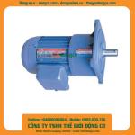 Motor giảm tốc Tunglee PF40-3700-40S3-B 3700W 1:40 ~37rpm Mặt bích