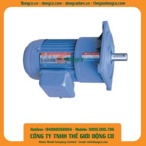 Motor giảm tốc Tunglee PF40-3700-40S3-B 3700W 1:40 ~37rpm Mặt bích
