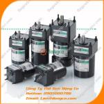 Động cơ phanh điện từ Oriental Motor 4RK25A-AW2ML2 công suất 25W Loại trục tròn điện áp Một pha 110 VAC